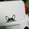 Pegatinasimpermeable - pegatina de vinilo con cara de perro