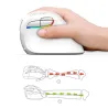 M618 - 2.4GHz - mini vertical wireless mouse - Bluetooth 4 - dual mode - rechargeable - silent - whiteMouses