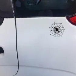 PegatinasAraña en una web de araña - pegatina de coche