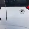 PegatinasAraña en una web de araña - pegatina de coche