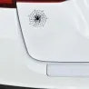 PegatinasAraña en una web de araña - pegatina de coche