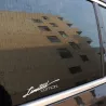PegatinasEdición limitada - pegatina de coche vinilo