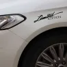 PegatinasEdición limitada - pegatina de coche vinilo