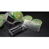 Luces & IluminaciónMagical - fruit lemon Slice String Lights - battery powered - indoor - outdoor