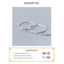 Pentagon earrings - geometric hyperbole - 925 sterling silverEarrings