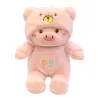 Piggy shaped toy - soft plush pillowCuddly toys