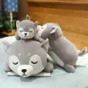 Lying Husky dog - plush toy - pillowCuddly toys