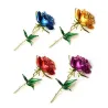 BrochesElegant brooch - enamel rose