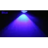 LucesCar / motorcycle lamp - eagle eye - LED - DRL - 12V / 24V - 18mm / 23mm