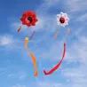 CometaTai Chi Gossip - traditional kite - long tail