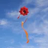 CometaTai Chi Gossip - traditional kite - long tail