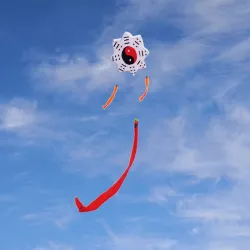 CometaTai Chi Gossip - traditional kite - long tail