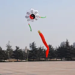 CometaTai Chi Gossip - traditional kite - long tail