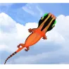 Large lizard - gecko - kite - inflatable - single line - 12mKites