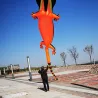 CometaLagarto grande - gecko - cometa - inflable - línea simple - 12m