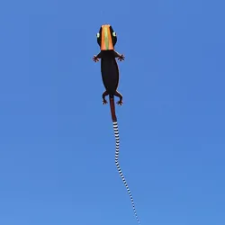 Large lizard - gecko - kite - inflatable - single line - 12mKites