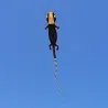 Large lizard - gecko - kite - inflatable - single line - 12mKites