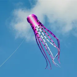 CometaLarge octopus - kite - inflatable - with line - 15m / 23m / 30m