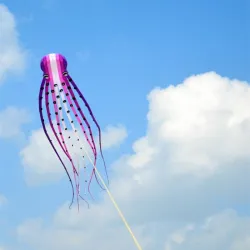 CometaLarge octopus - kite - inflatable - with line - 15m / 23m / 30m