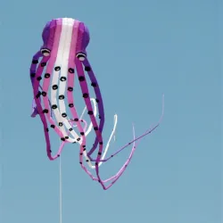 CometaLarge octopus - kite - inflatable - with line - 15m / 23m / 30m