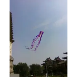 CometaLarge octopus - kite - inflatable - with line - 15m / 23m / 30m