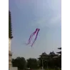 CometaLarge octopus - kite - inflatable - with line - 15m / 23m / 30m