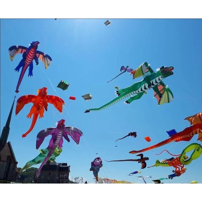Cometa3D flying dragon - kite - 6.5m