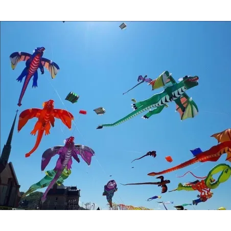 Cometa3D flying dragon - kite - 6.5m