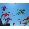 Cometa3D flying dragon - kite - 6.5m