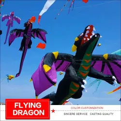 Cometa3D flying dragon - kite - 6.5m