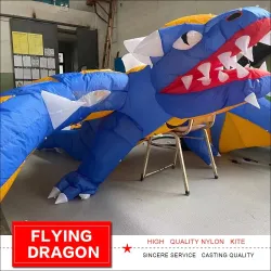 Cometa3D flying dragon - kite - 6.5m