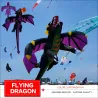 Cometa3D flying dragon - kite - 6.5m