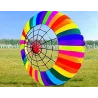 Colorful rainbow with spider - large kite - 2.5mKites