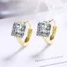 Luxurious small round earrings - with crystal - 925 sterling silverEarrings