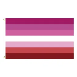 Hanging banner - flag - LGBT / transgender / pansexual / progress / PRIDE / rainbowStickers
