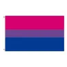Hanging banner - flag - LGBT / transgender / pansexual / progress / PRIDE / rainbowStickers