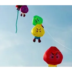 Soft inflatable kite - multi-color - mushroom - 3MKites