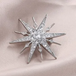 BrochesBroche de lujo en forma de estrella - circonita cúbica