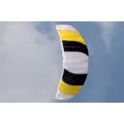 Colorful sports beach kite - 1.4m dual lineKites