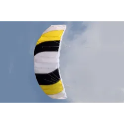 Colorful sports beach kite - 1.4m dual lineKites