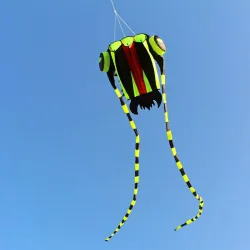 CometaGran cometa de colores - trilobite verde