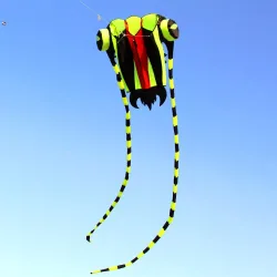 CometaGran cometa de colores - trilobite verde