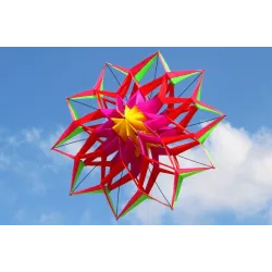 Sports / beach kite - 3D flower - with handle / lineKites