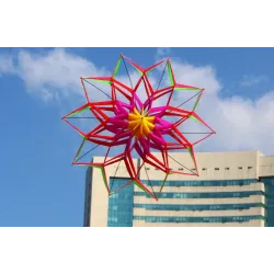 Sports / beach kite - 3D flower - with handle / lineKites