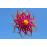 Sports / beach kite - 3D flower - with handle / lineKites
