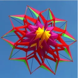 CometaCometa deportiva / de playa - flor 3D - con asa / línea