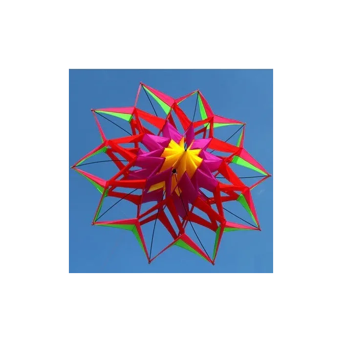 CometaCometa deportiva / de playa - flor 3D - con asa / línea