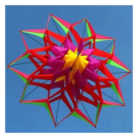 CometaCometa deportiva / de playa - flor 3D - con asa / línea