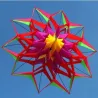Sports / beach kite - 3D flower - with handle / lineKites