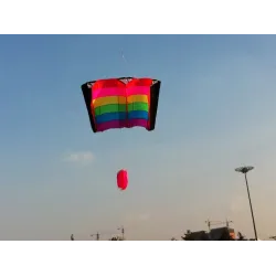 CometaCometa arcoíris de playa - con asa / de una sola línea